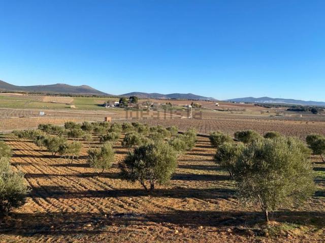Casa Rural en venta en Valdepeñas, Castilla-La Mancha
