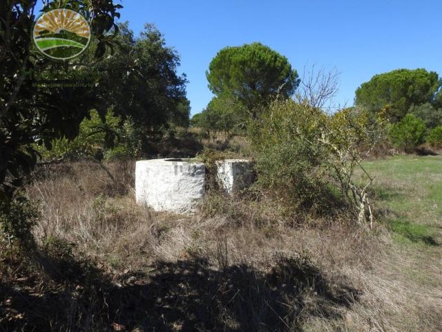 Quinta venda em Estradinha/Calçadinha, Santiago do Cacém