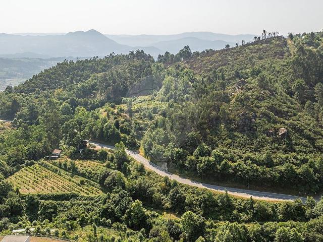 Quinta venda em Celorico De Basto, Braga