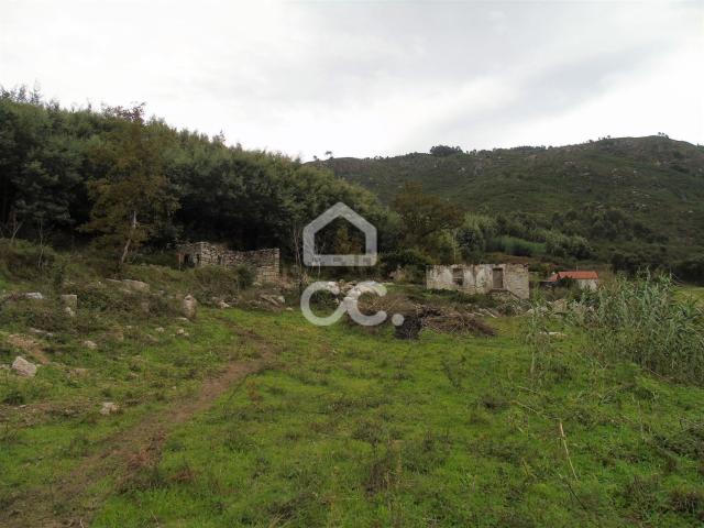 Quinta venda em Celorico De Basto, Braga
