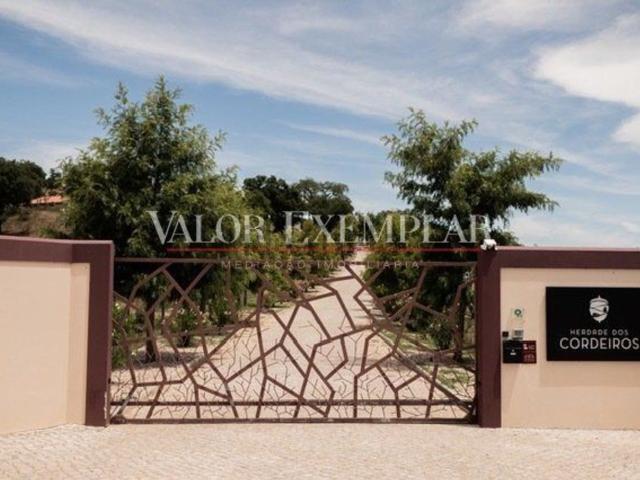 Quinta venda em Chamusca, Santarém