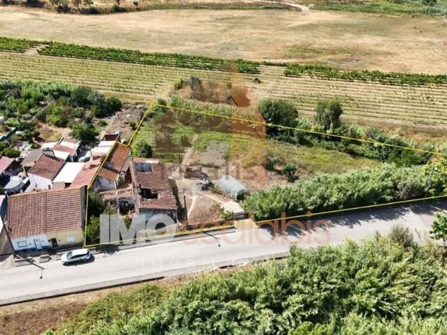 Quinta venda em Alto da Coelha, Chamusca