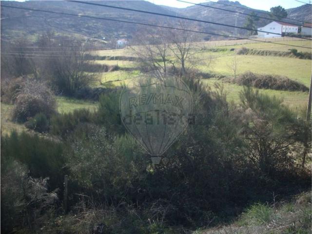 Quinta venda em Vale De Estrela, Albardeiros