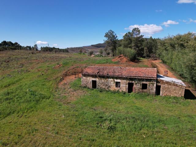Quinta venda em Castelo Branco