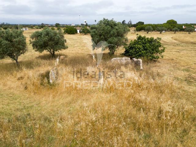 Quinta venda em Vale De Santiago, Fornalhas Velhas Quinta venda em Vale De Santiago, Fornalhas Velhas