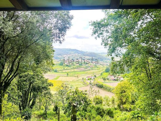 Quinta venda em Lourido, Gavião