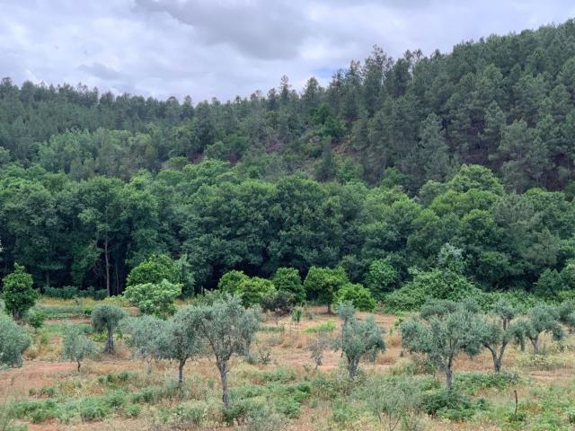 Casa Rural en venta en Valencia De Alcántara, Extremadura
