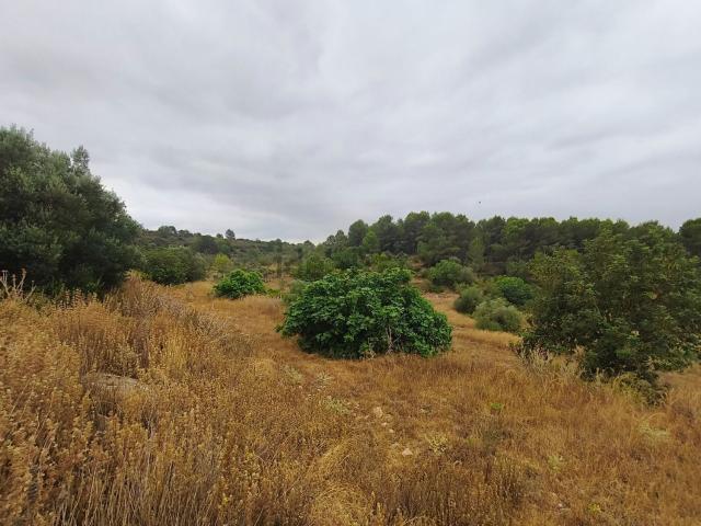 Casa Rural en venta en la Plana Alta, Valencia