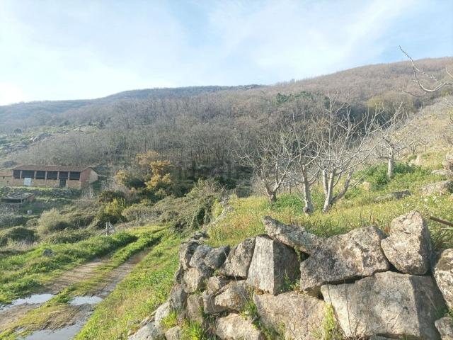 Casa Rural en venta en Valverde De La Vera, Extremadura