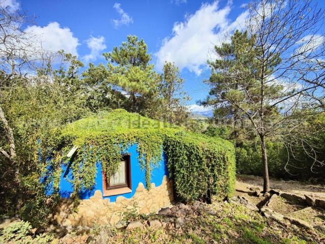 Casa Rural en venta en Valverde De La Vera, Extremadura