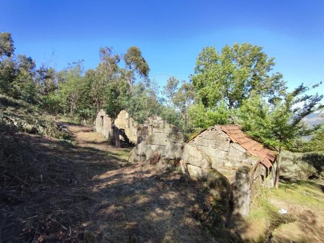 Quinta venda em Folhada, Várzea Ovelha E Aliviada