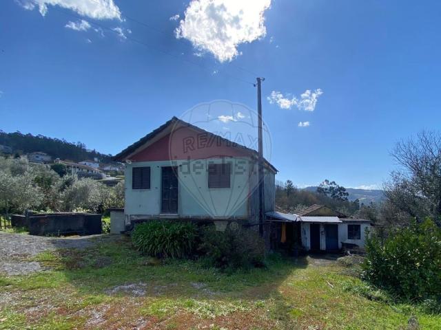 Quinta venda em Folhada, Várzea Ovelha E Aliviada