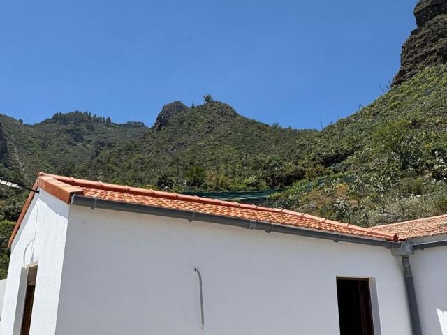 Casa Rural en alquiler en Vega De San Mateo, Canarias