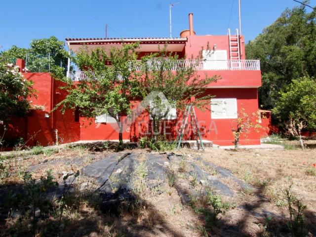 Casa Rural en venta en Vega De San Mateo, Canarias