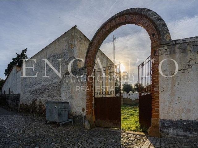 Quinta venda em Estarreja, Aveiro