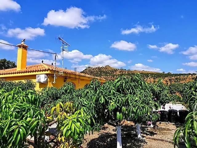 Casa Rural en venta en La Axarquía, Andalucía