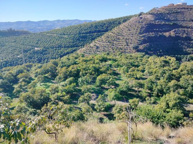 Casa Rural en venta en Aldea Baja, La Axarquía