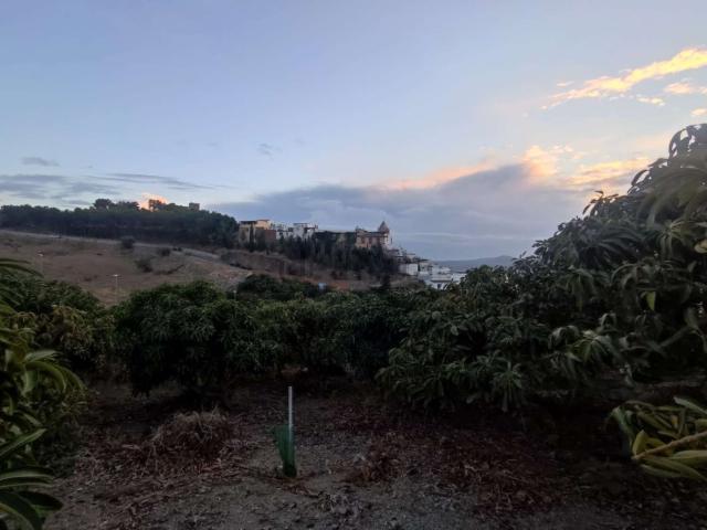 Casa Rural en venta en Vélez-málaga, La Gloria