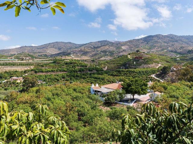 Casa Rural en venta en Vélez-málaga, Real Bajo
