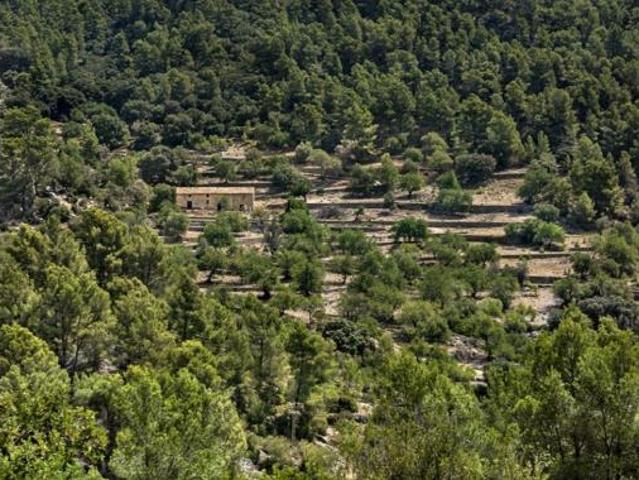 Casa Rural en venta en Raiguer, Baleares