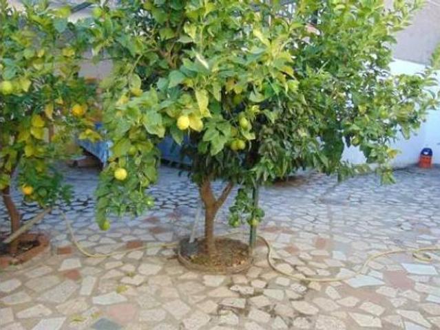 Casa Rural en venta en Alcaudete De La Jara, Castilla-La Mancha