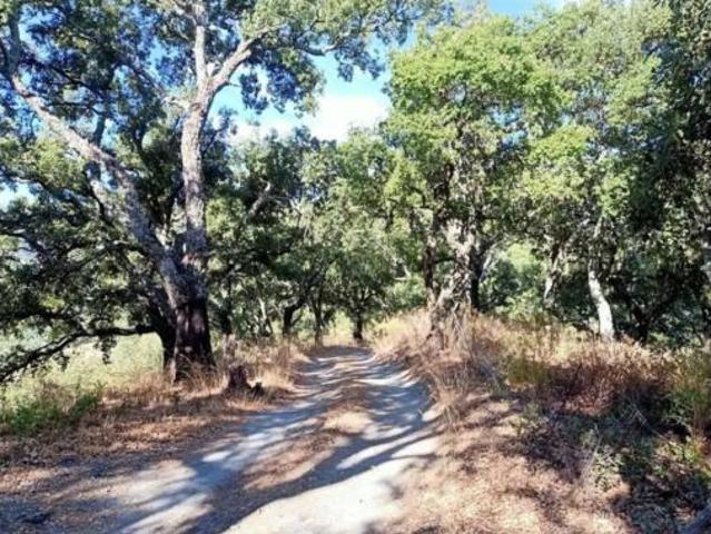Casa Rural en venta en Serranía de Ronda, Andalucía