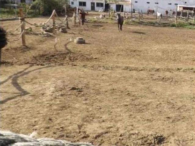 Casa Rural en venta en El Pelayo, Campo de Gibraltar