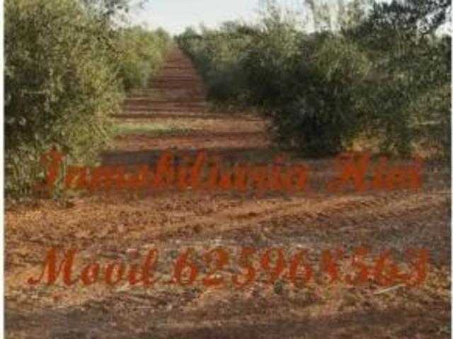 Casa Rural en venta en Tierra de Barros, Extremadura