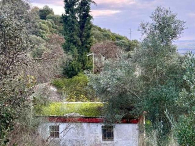 Casa Rural en venta en Almodóvar Del Río, Andalucía