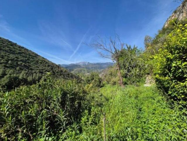 Casa Rural en venta en Sierra de las Nieves, Andalucía
