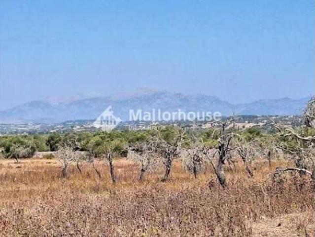 Casa Rural en venta en Pla de Mallorca, Baleares