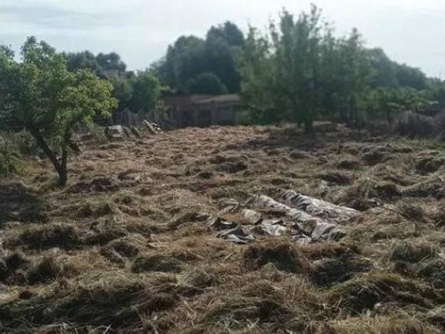 Casa Rural en venta en Noguera, Catalunya