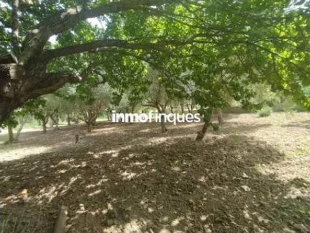 Casa Rural en venta en Noguera, Catalunya