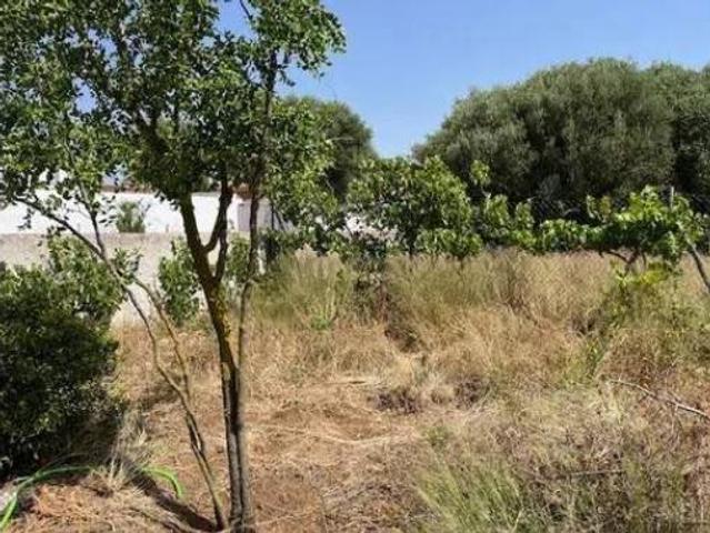 Casa Rural en venta en Barriada del Pinar, La Janda