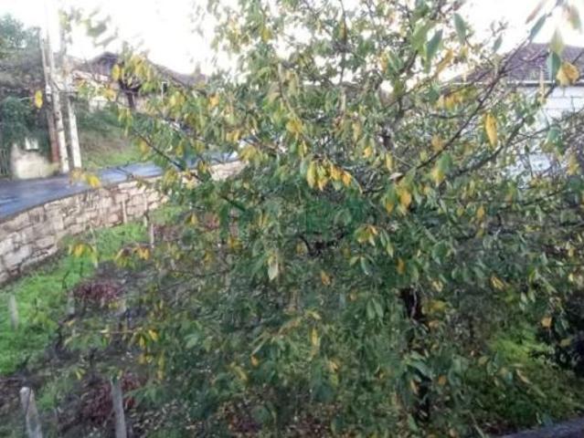 Casa Rural en venta en O Ribeiro, Galicia
