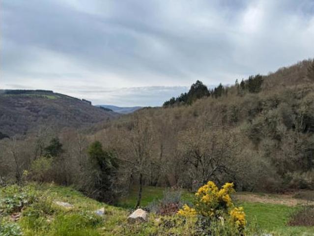 Casa Rural en venta en Os Ancares, Galicia