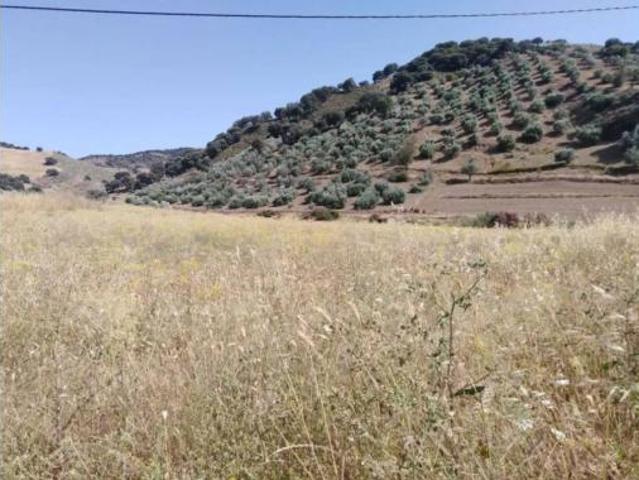 Casa Rural en venta en Serranía de Ronda, Andalucía