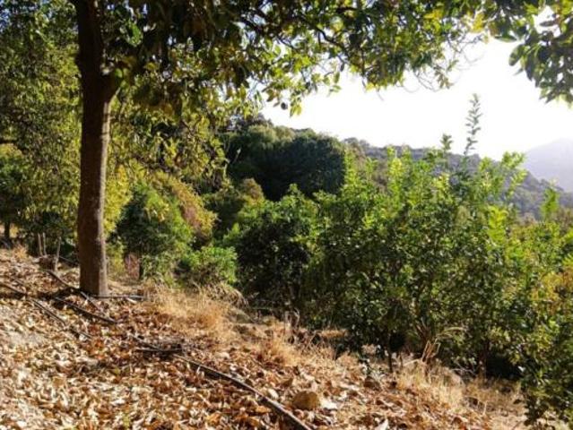 Casa Rural en venta en Serranía de Ronda, Andalucía
