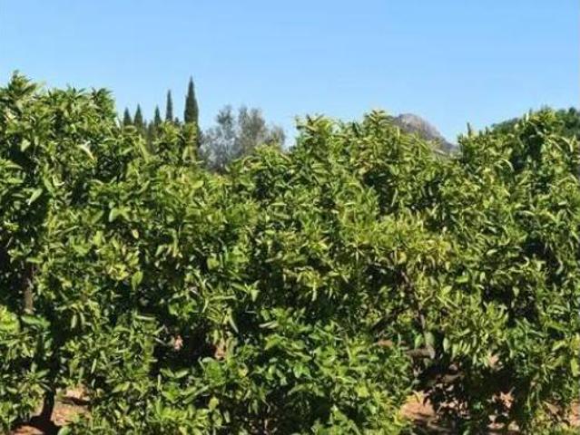Casa Rural en venta en la Marina Alta, Valencia