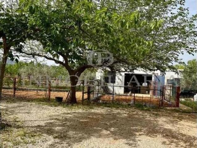 Casa Rural en venta en la Plana Alta, Valencia