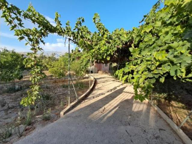 Casa Rural en venta en Benejí, Berja