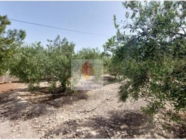 Casa Rural en venta en Vega Alta del Segura, Murcia