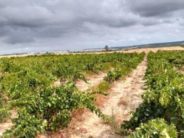 Casa Rural en venta en El Condado, Andalucía