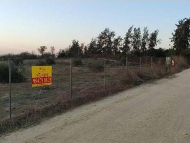 Casa Rural en venta en Bormujos, Sevilla