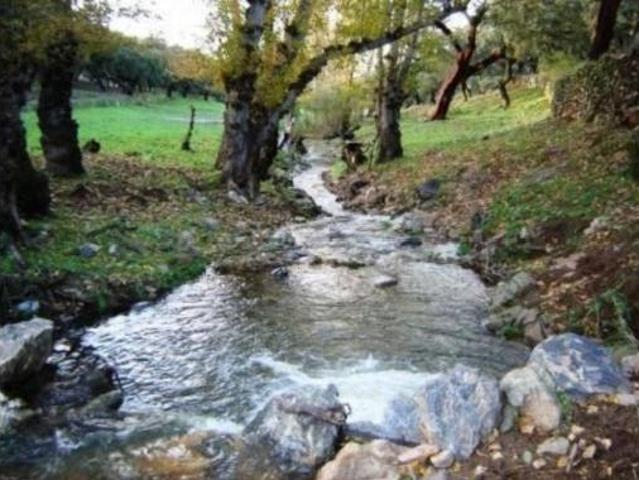Casa Rural en venta en Cabeza La Vaca