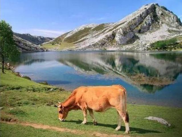 Casa Rural en venta en Cabrales, Asturias