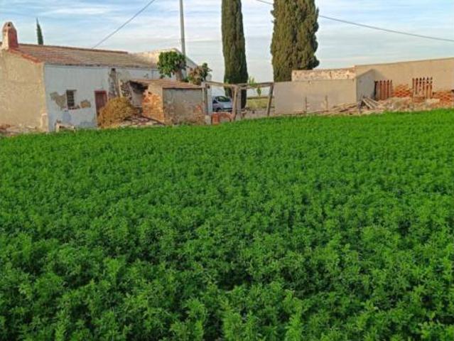 Casa Rural en venta en San José, el Baix Segura / La Vega Baja