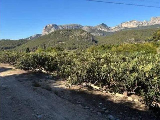 Casa Rural en venta en la Marina Baixa, Valencia