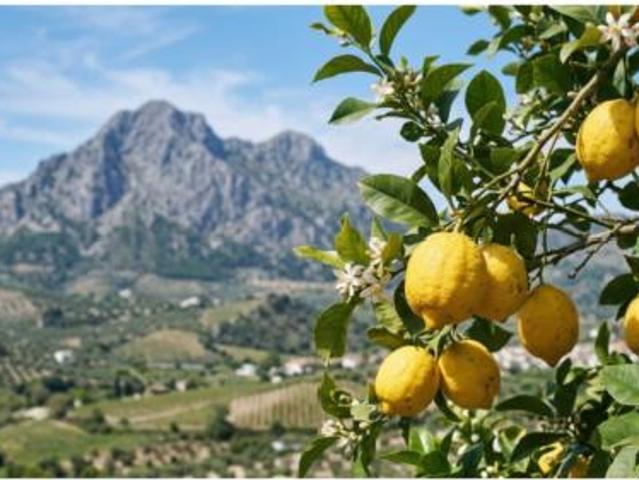 Casa Rural en venta en Calvià, Serra de Tramuntana