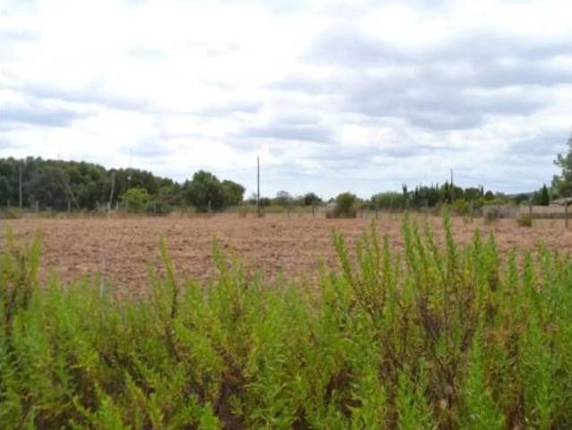 Casa Rural en venta en Raiguer, Baleares